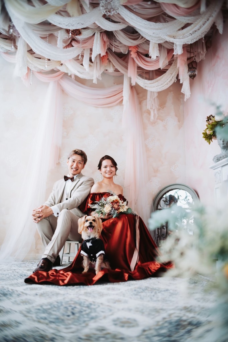 「ペットOK」なスタジオ