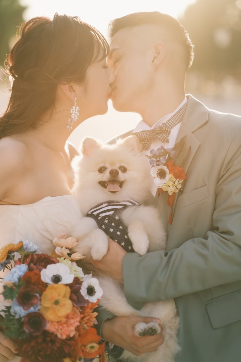 撮りたかったショットが叶う。