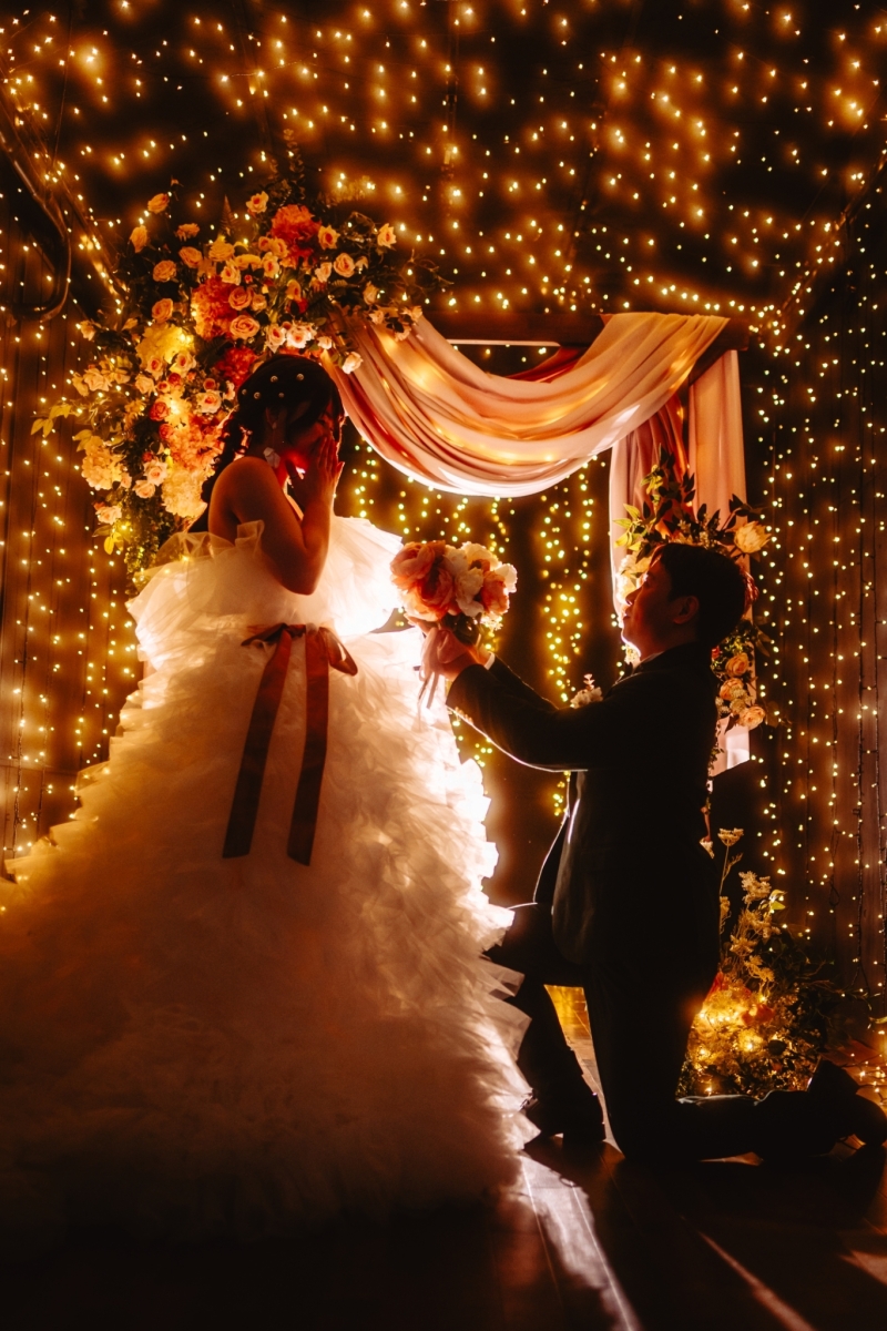 イルミネーションエリア