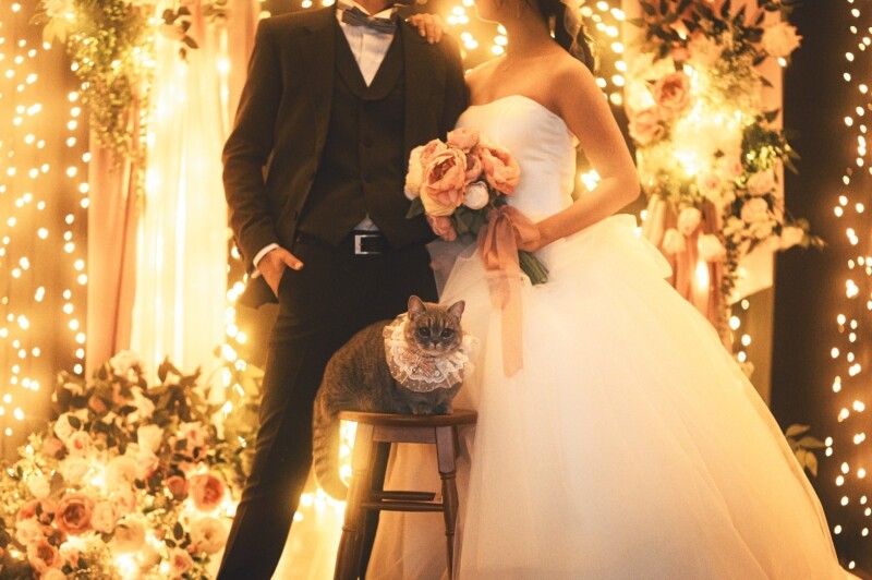 幕張スタジオなら年中無休でイルミネーションが