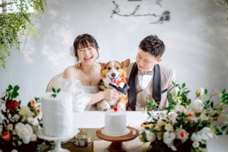 スタジオ マタニティウェディングフォト 画像