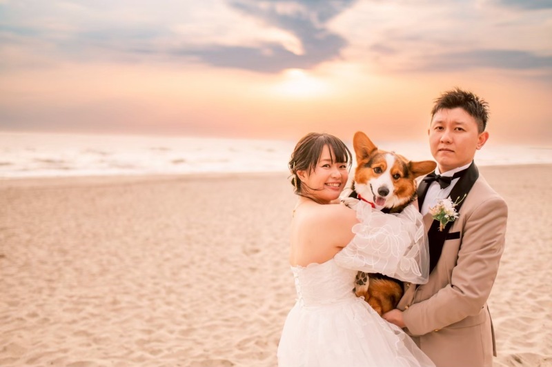 わんわん･ᴥ･