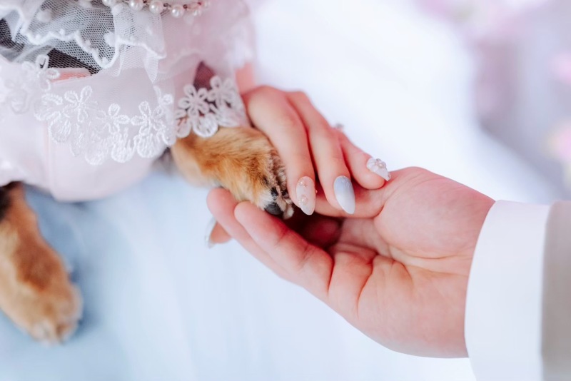 スペシャルゲストˊꈊˋワンッ