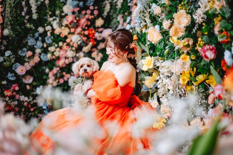 わんちゃんと一緒に!