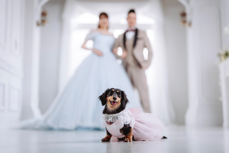 ワンっ(ᐡ ᐧ ﻌ ᐧ ᐡ)