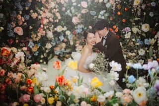 わんわんわん･ᴥ･