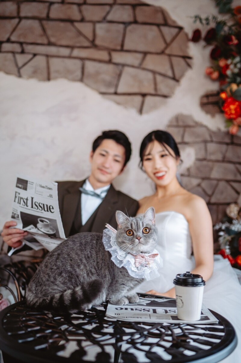 カフェエリアでは猫ちゃんも一緒に!