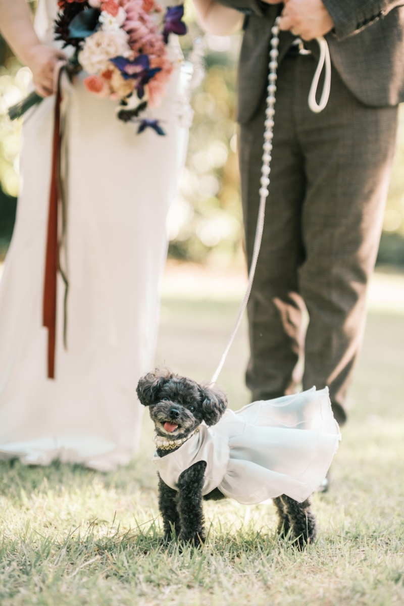 atelier Rulucca幕張スタジオ_ペットと一緒に撮影できる