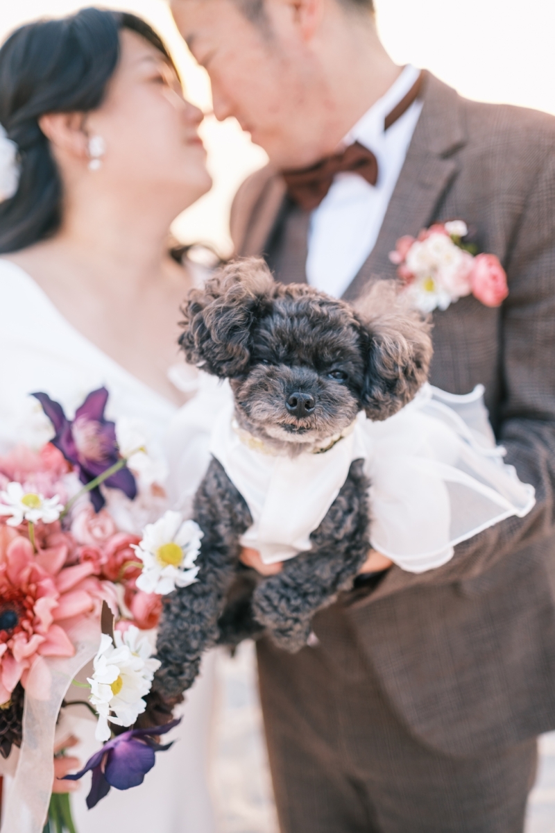 atelier Rulucca幕張スタジオ_ペットと一緒に撮影できる