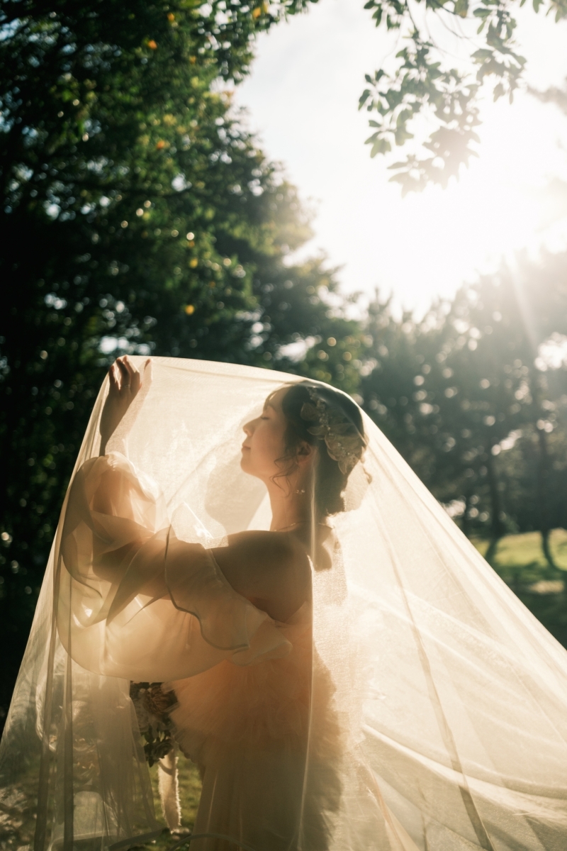 ベールショット!