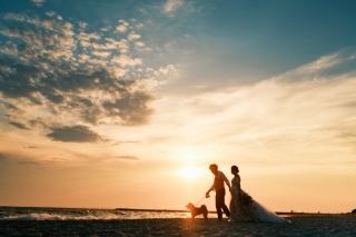 【ペットと一緒に♪】森+海撮影プラン【千葉県】