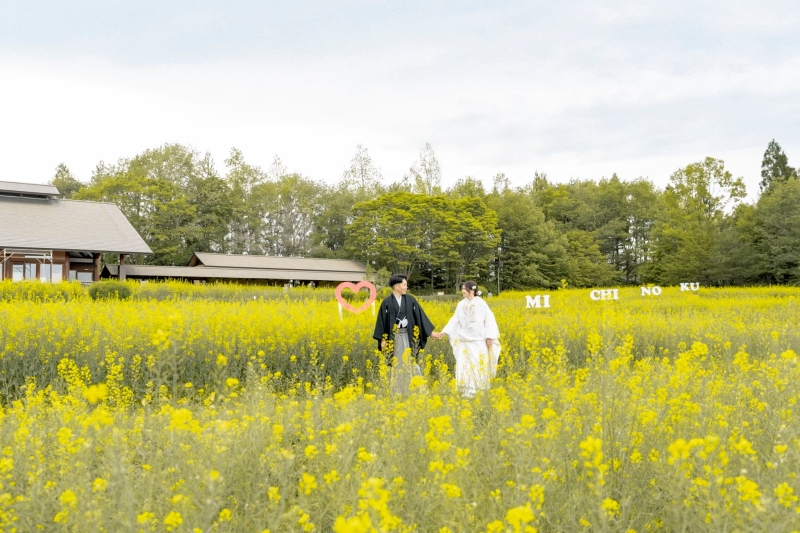 菜の花畑ウェディング