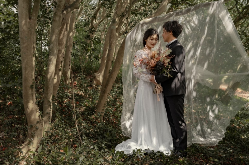 光が差し込む幻想的な雰囲気