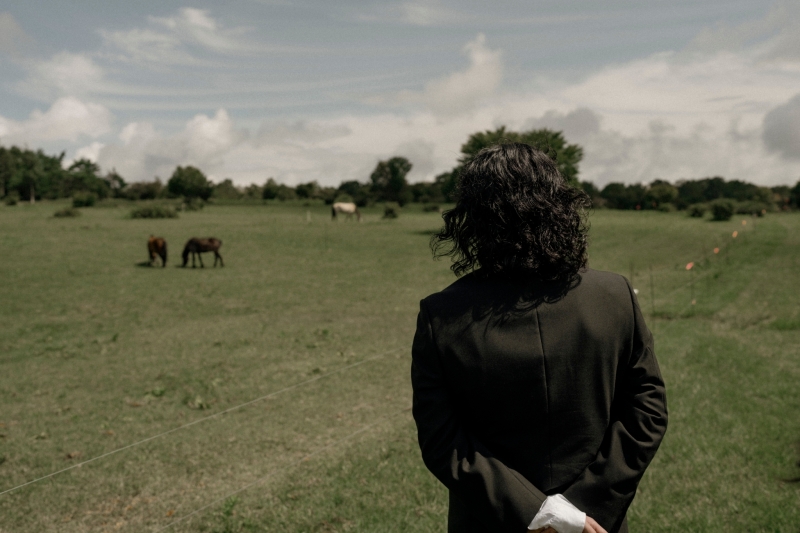 馬に見惚れる新郎様