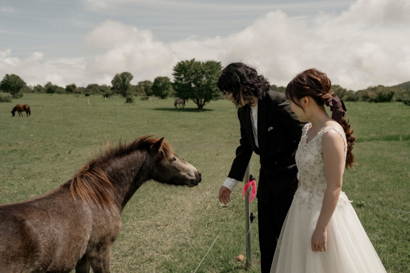 馬に近づいて撮影
