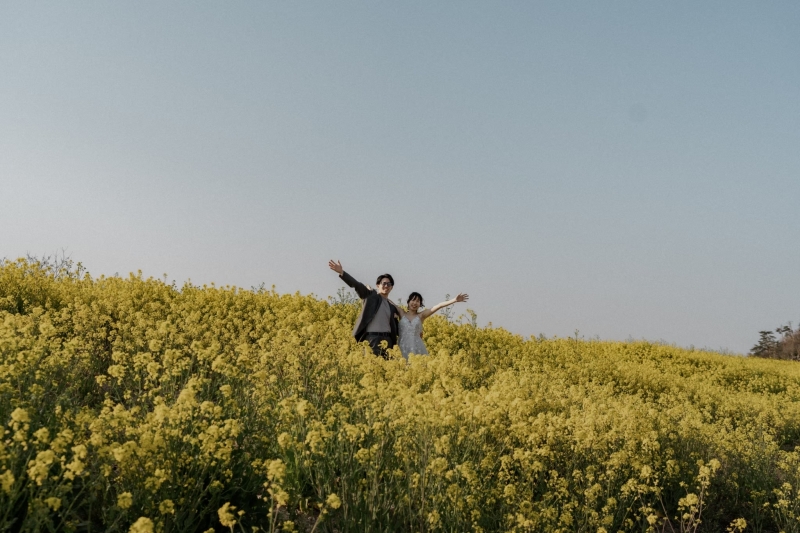 菜の花畑の真ん中で