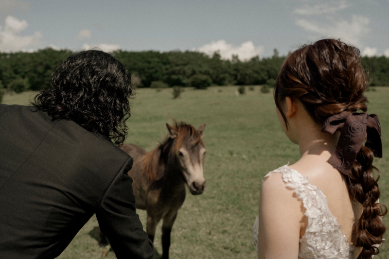 馬に夢中のお二人