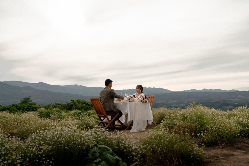 カモミール畑の真ん中で