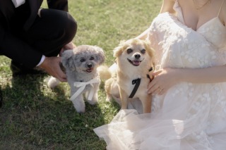 MOMENT_ファミリー＆ペット