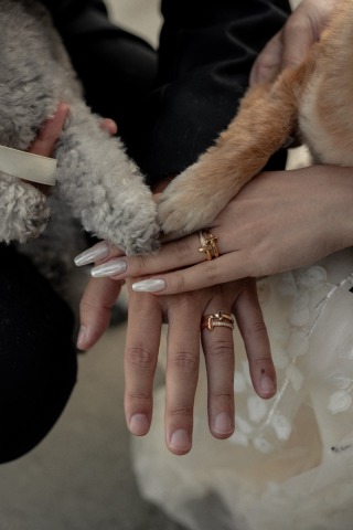 MOMENT_ファミリー＆ペット