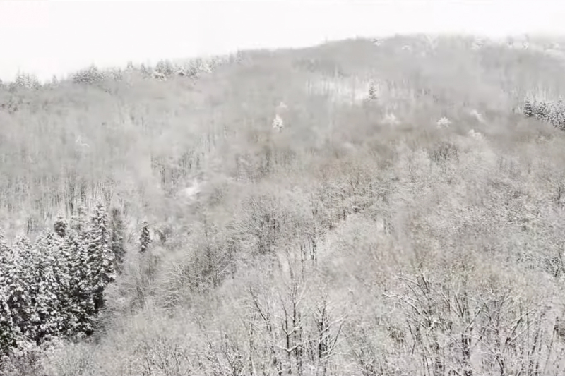 【冬撮影限定】東北だからこその撮影が可能!雪に囲まれて神秘的なフォトウェディング/80カット