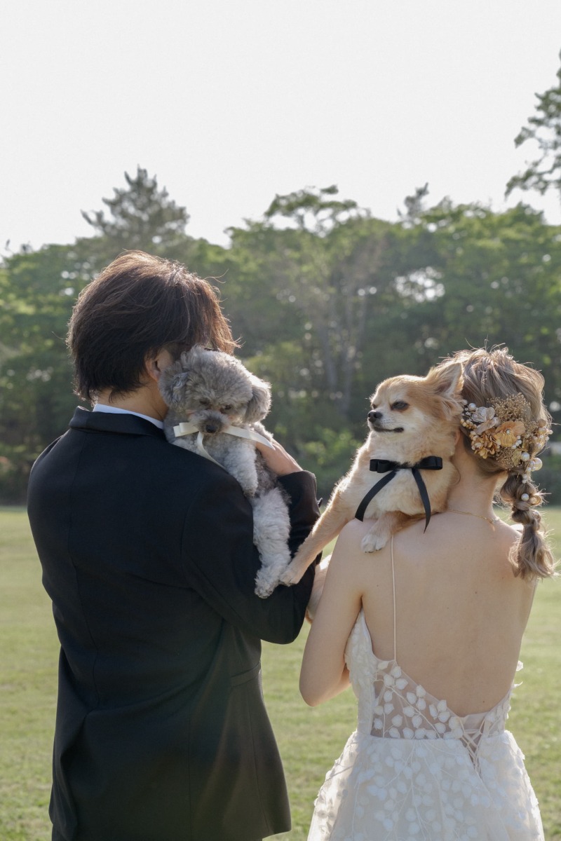 【ペットと一緒に】仙台フォトウェディング｜貸切スタジオ・ノーリード撮影OK｜データ60カット・ペットフォトボード付