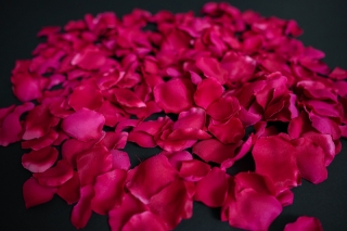 フラワーシャワー(ピンク)