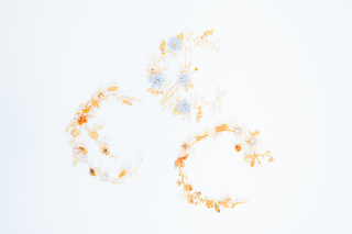 無料ヘアパーツ