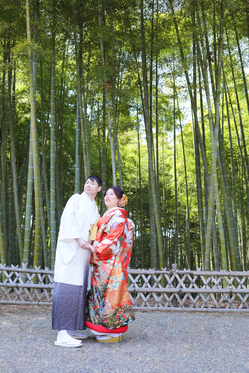 清々しい竹林にて♫