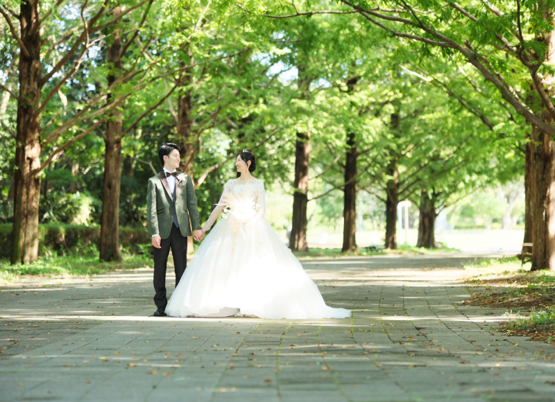 メタセコイヤ並木道