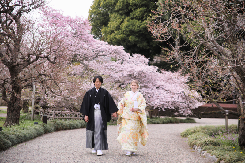 桜ろーど♡