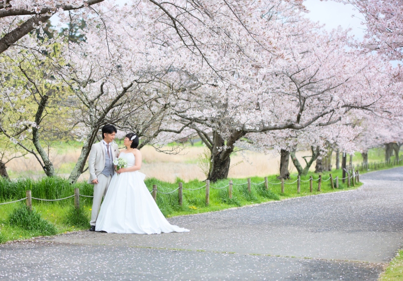 桜ROAD♪