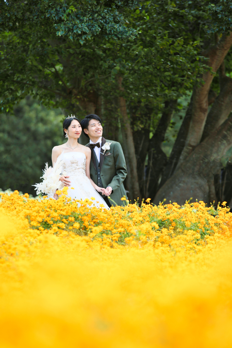 オレンジのお花畑