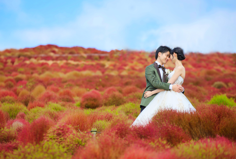 洋装コキアロケIN国営ひたち海浜公園