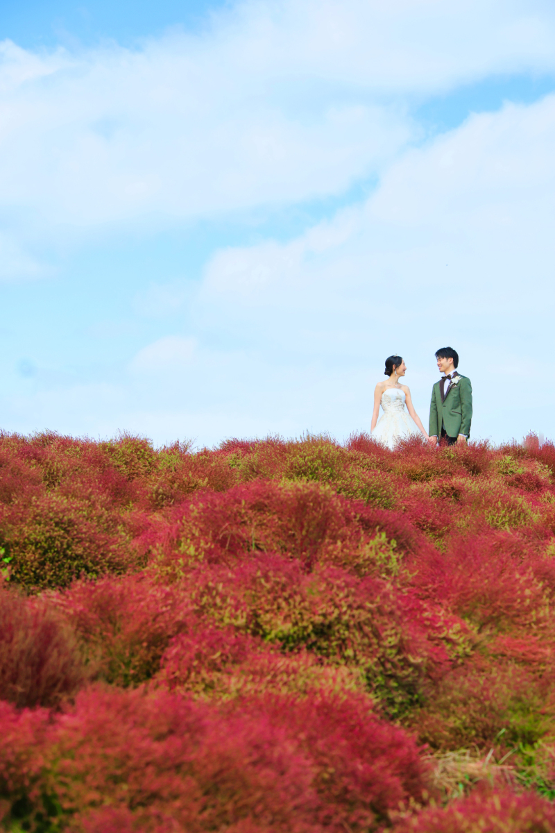 本日は晴天なり♪