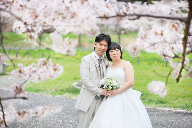 レースの様な桜の隙間から