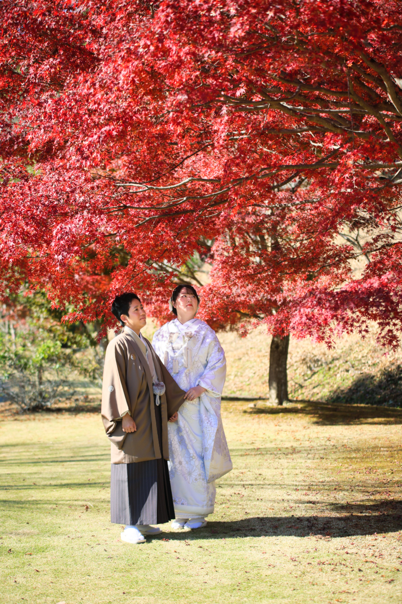 紅葉が見頃でした♪