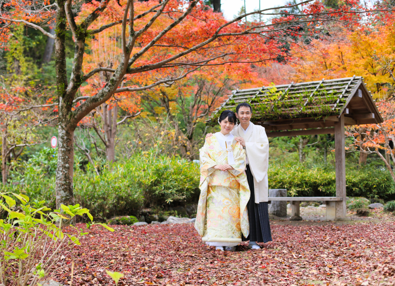 紅葉がまさに見頃でした!
