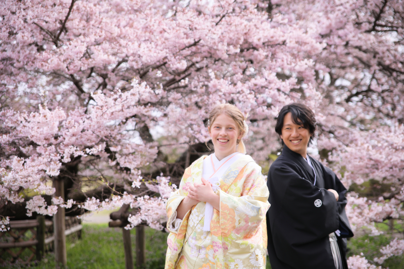 ちょうど見頃の桜が満開でした♪