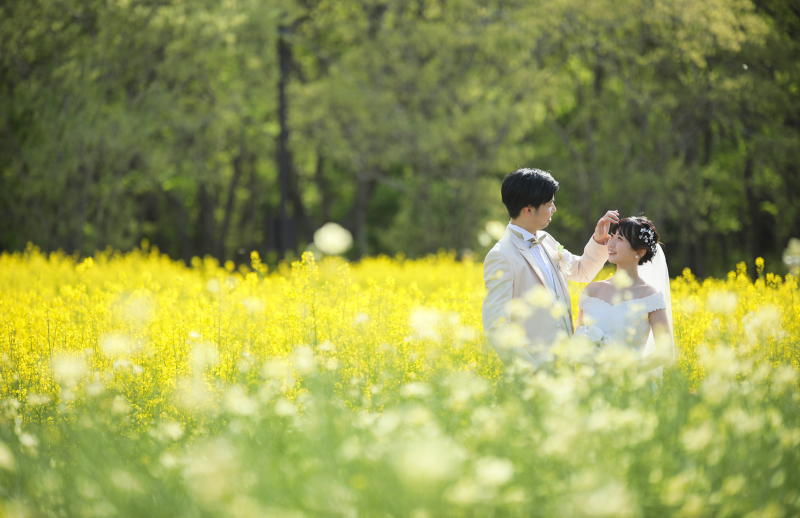 菜の花畑もとても綺麗でした♡
