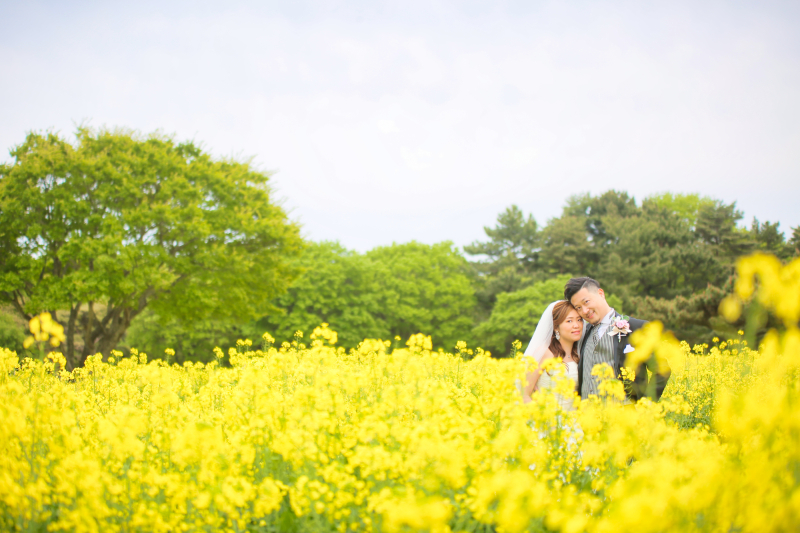 菜の花畑で♪
