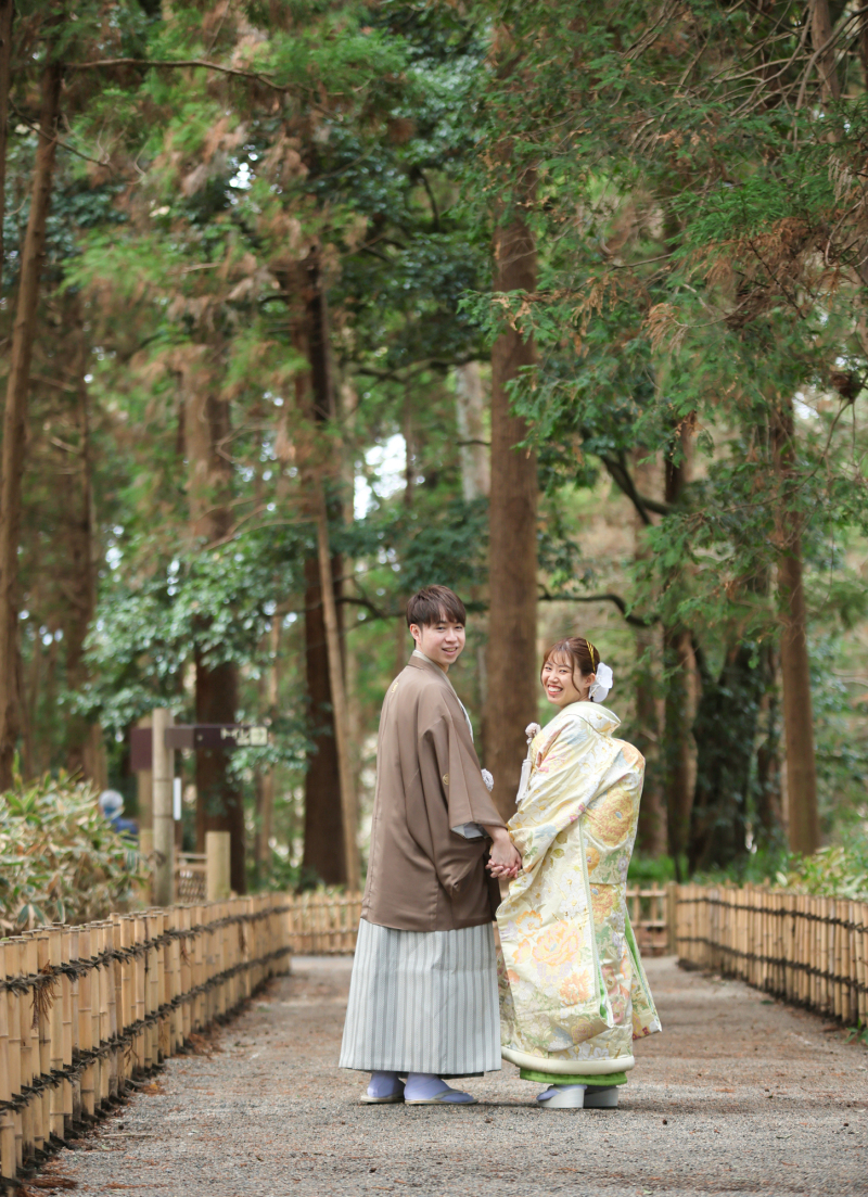 大きな杉並木を抜けて行きます。