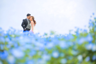 香港からのお客様とネモフィラロケ♪