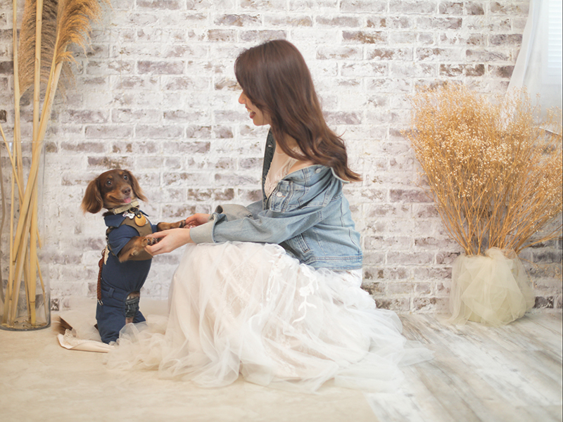 ウェディングハウス ル・シフォン_ペットと一緒に撮影できる