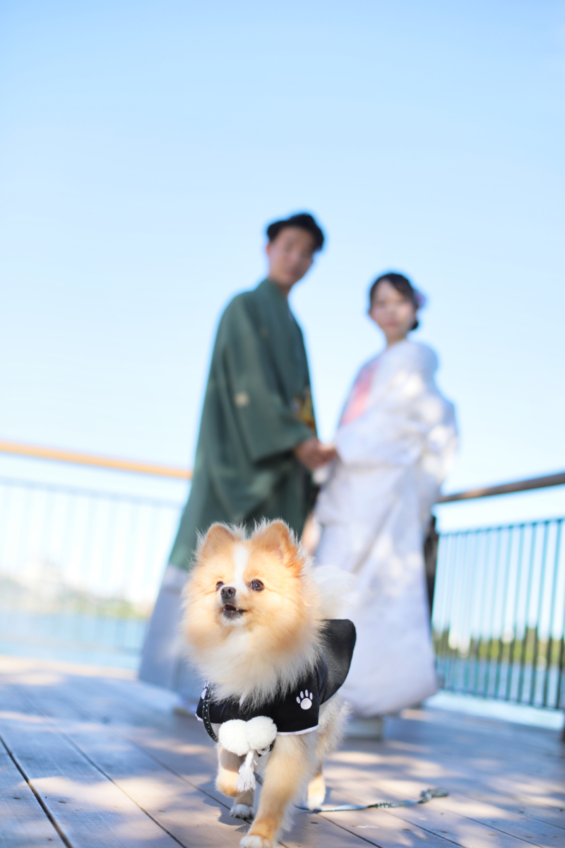 ウェディングハウス ル・シフォン_ペットと一緒に撮影できる