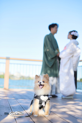 ペットとの撮影