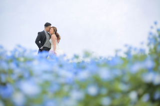 ネモフィラ撮影出張料