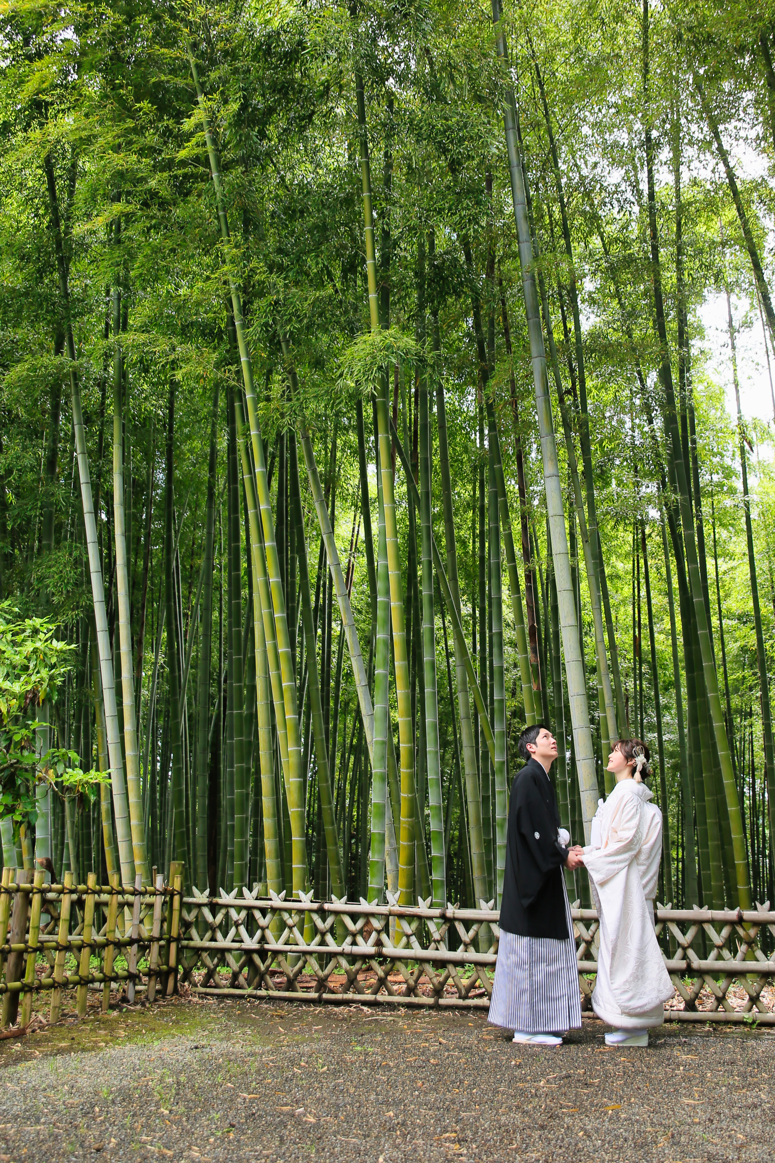 20以上ある撮影シーン