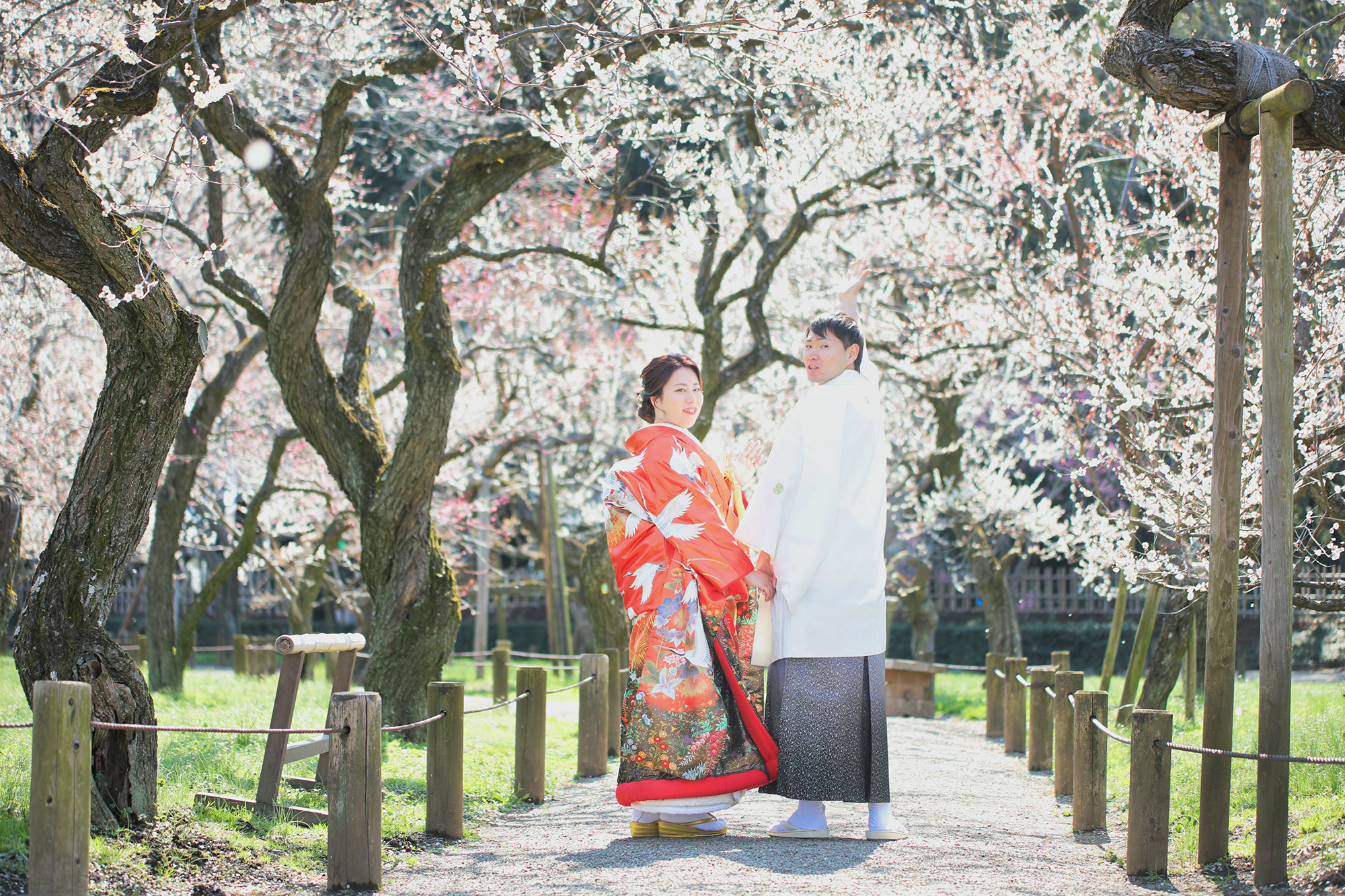 Point1 多彩な撮影シーン