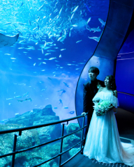 ウェディングハウス ル・シフォン_水族館ロケーション